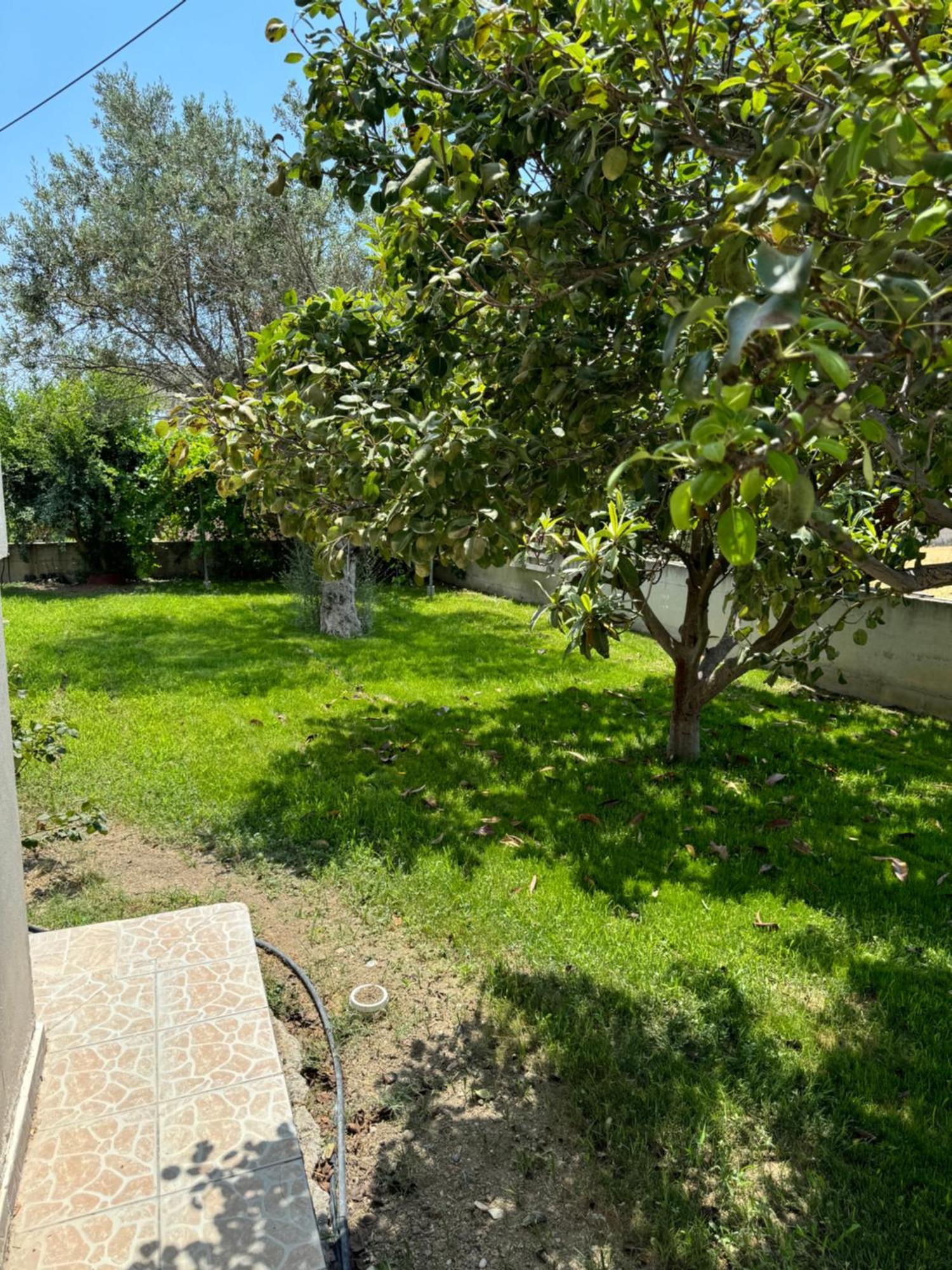 Apartmán Fotis House Afantou Exteriér fotografie